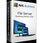 AVG File Server Edition (5-19) lic. na 1 rok