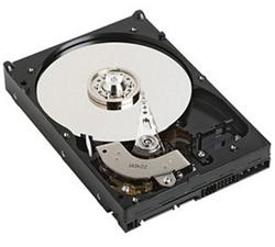DELL disk 1TB/ 7.2k/ NLSAS/ hot-plug/ 3.5"/ pro R320, T320, VRTX, MD3060E