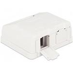 Delock Keystone Surface Mounted Box 2 Port with dust cover