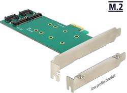 Delock PCI Express Card > 2 x internal M.2 Key B 110 mm - Low Profile Form Factor
