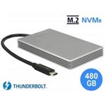 Delock Thunderbolt™ 3 Externe Portable 480 GB SSD M.2 PCIe NVMe