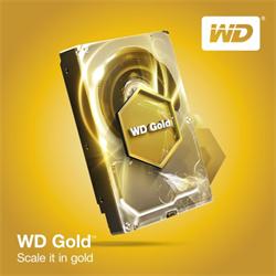 HDD 10TB WD101KRYZ Gold 256MB SATAIII 7200rpm