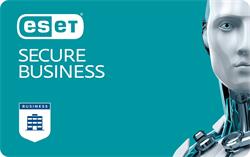 update na 2 roky ESET Secure Business (25-49) instalace