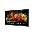 32" D-LED Philips 32BDL5050D-FHD,500cd,AN,24/7