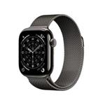 Apple Watch S11 Cell/42/Elegant Band/Slate