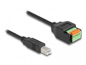 Delock Adaptér kabelu ze zástrčkového konektoru USB 2.0 Typu-B (samec) na svorkovnici, s tlačítkem, 15 cm