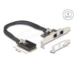 Delock Mini PCIe I/O PCIe plné velikosti 2 x RJ45 Gigabit LAN