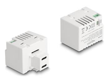 Delock Modul Keystone se dvěma nabíjecími porty USB Type-C™, PD, 20 W, bílý