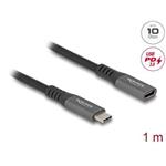 Delock Prodlužovací kabel USB 10 Gbps USB Type-C™ zástrčky na zásuvku PD 3.0 100 W 1 m šedá kovová