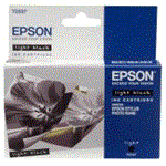 EPSON T059740 Light Black R2400