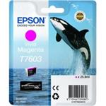 Epson T7603 Ink Cartridge Vivid Magenta