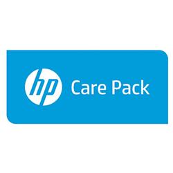HP CPe - Carepack pro D2/300 series (PC+monitor), na místě do 24h, PD