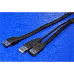 Kabel eSATAp -> eSATA + USB, 1m
