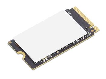 Lenovo ThinkPad/256GB/SSD/M.2 NVMe/Černá/1R