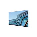 Lenovo ThinkViosion E55 54,6"/16:9/3840x2160/8ms