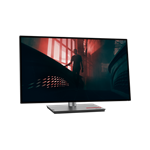 Lenovo ThinkVision/P27q-30/27"/IPS/QHD/60Hz/4ms/Black/3R