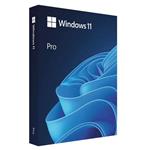 MS Windows 11  Professional FPP 64-bit Slovak USB