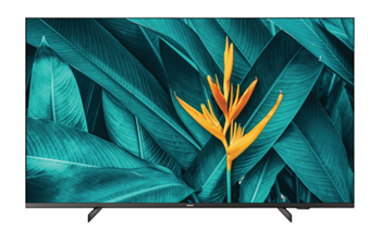 Philips/55HFL5214U/55"/4K UHD/Black