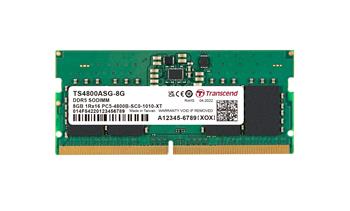 Transcend paměť 8GB SODIMM DDR5 4800 1Rx16 1Gx16 CL40 1.1V