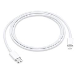 USB-C to Lightning Cable (1 m) / SK