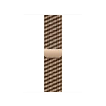 Watch Acc/42/Gold Milanese Loop